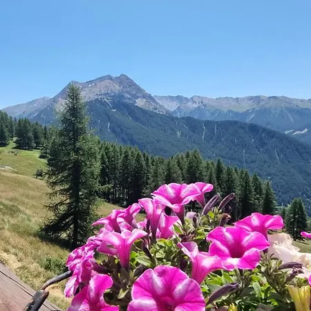 Fronte Piste Comodo Monolocale Apartment